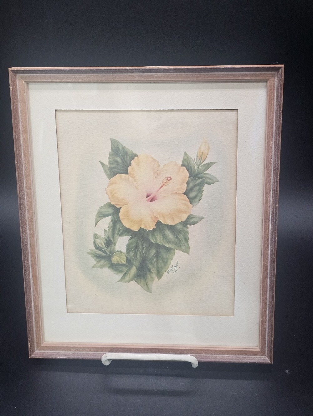 Vintage Framed Yellow Hibiscus Floral Art Print By Ted Mundorff